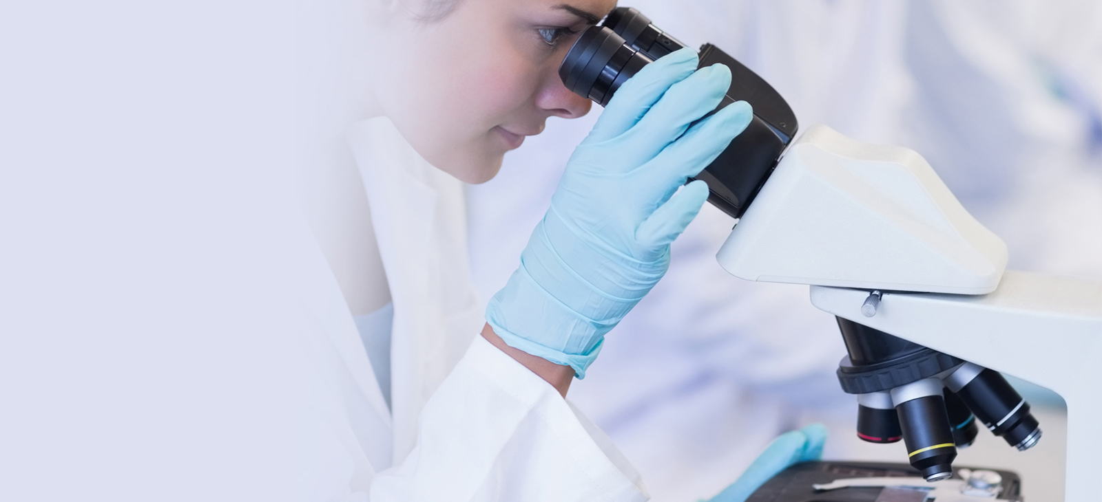 Microscopy inspection of specimens